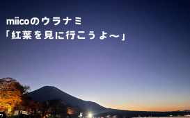 miicoのウラナミ