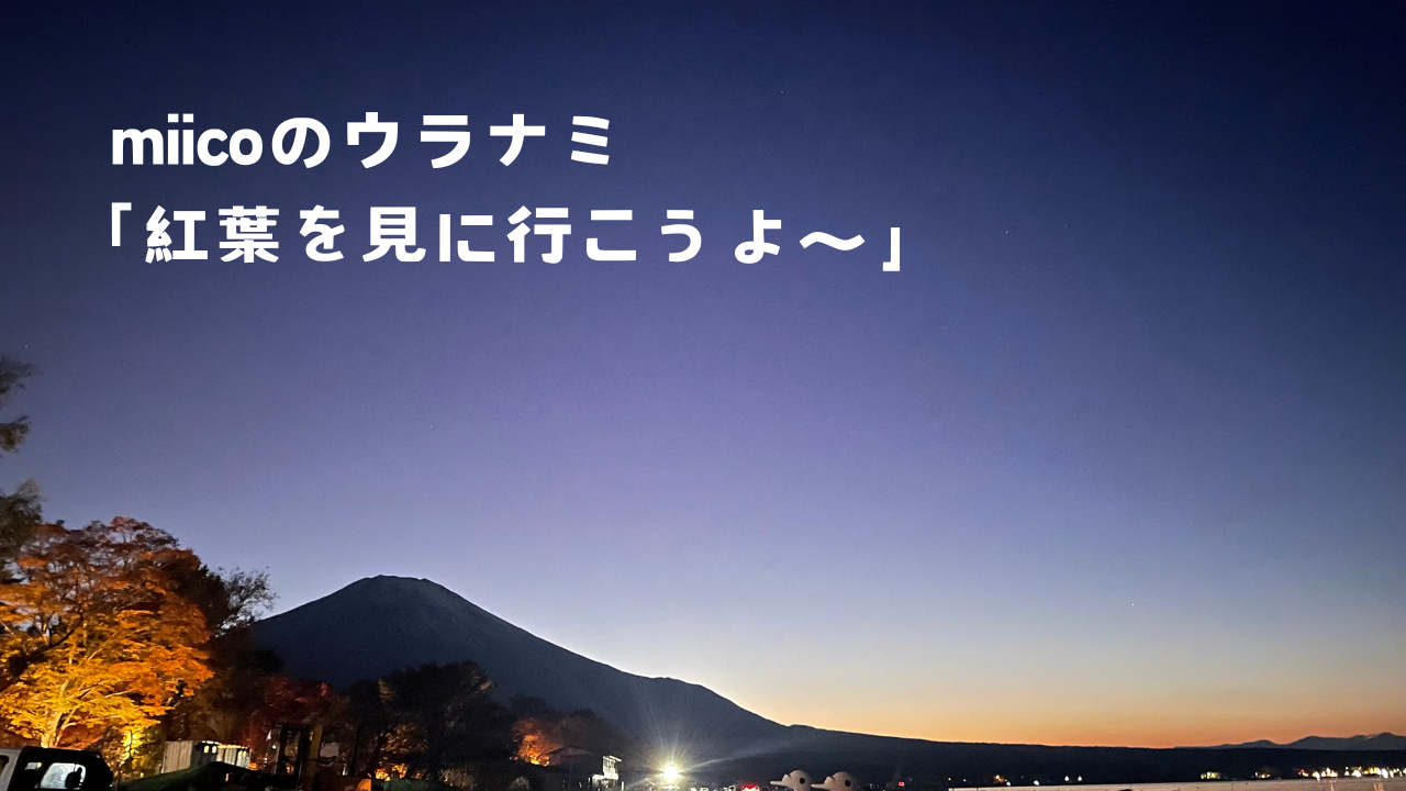 miicoのウラナミ