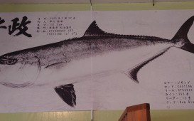大口・二見ヶ浦を担当するTFサーフボードの平川さんは131.5cmのヒラマサをSUPで釣りました!!スゴすぎます!!!