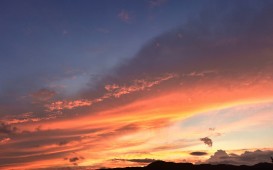IMG_5955 (1)