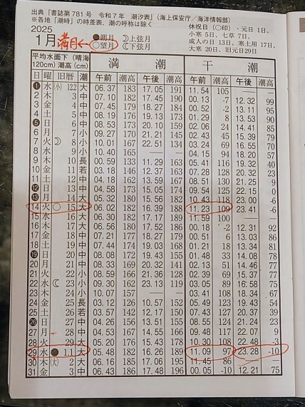 2025年1月の潮時表(東京湾晴海)