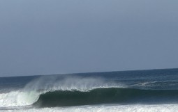 IMG_2636