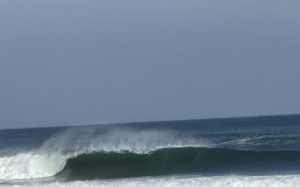 IMG_2636