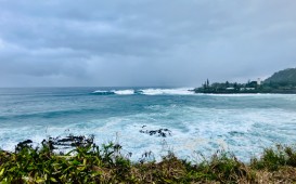 IMG_4910