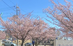 IMG_3189