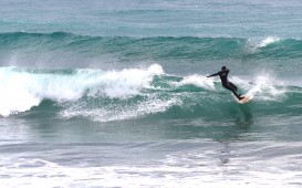 IMG_9163