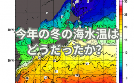 今年の冬の海水温は どうだったか？