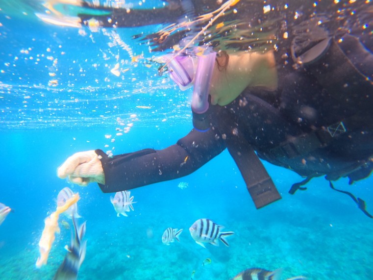 DCIM100GOPROGOPR7082.JPG