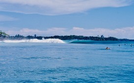 img019