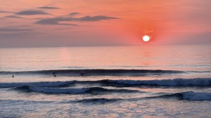 IMG_0273