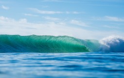 Bonsoy Gold Coast Pro