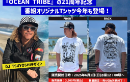 スクリーンショット 2025-05-29 152035