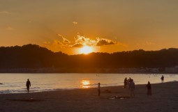 IMG_8088