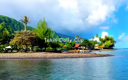 2025.6.23 & 24 @ Teahu