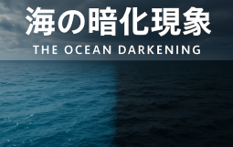 海の暗化現象_アイキャッチ