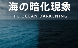 海の暗化現象_アイキャッチ