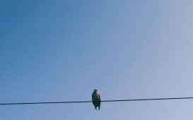 IMG_8021