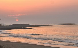 IMG_8804