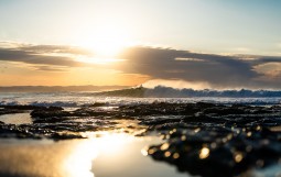 Corona Cero Open J-Bay