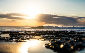 Corona Cero Open J-Bay