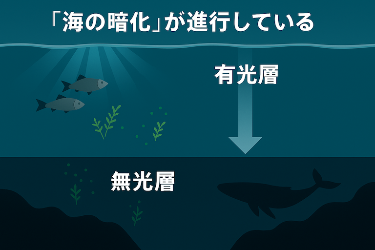 海の暗化現象_画像1