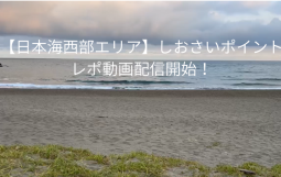 平砂浦ファミリーパーク下のコピーのコピー