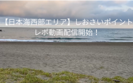 平砂浦ファミリーパーク下のコピーのコピー