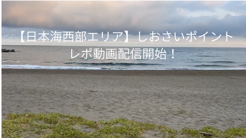 平砂浦ファミリーパーク下のコピーのコピー