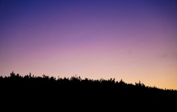 DSC00824
