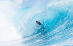 Lexus Tahiti Pro