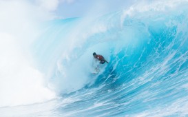 Lexus Tahiti Pro