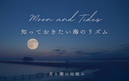 Moon and Tides (1)