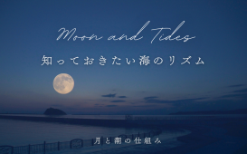 Moon and Tides (1)