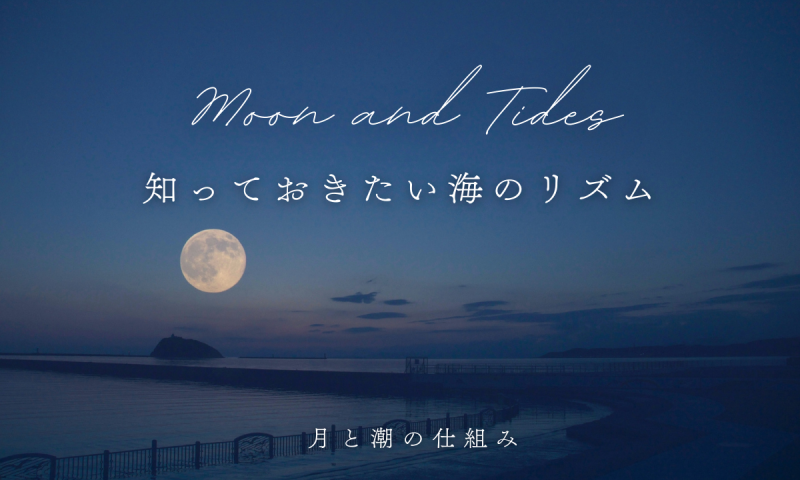 Moon and Tides (1)