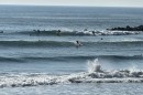 IMG_0152