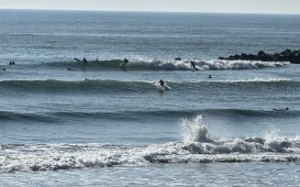 IMG_0152