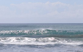 IMG_4167