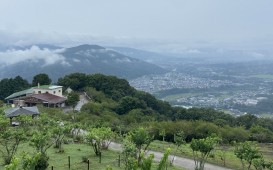 IMG_4467