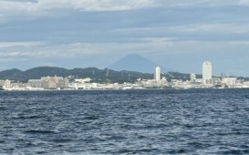 IMG_6016