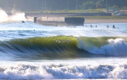 2025.9.8 @ Chiba v