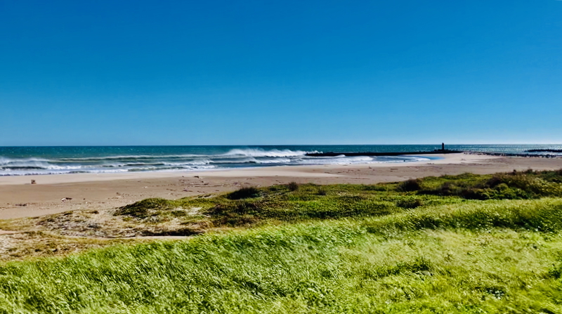 スクリーンショット 2025-10-14 13.43.29