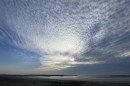 IMG_3523