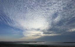IMG_3523