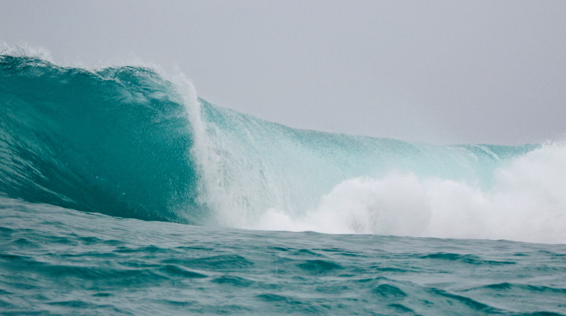 スクリーンショット 2025-10-28 8.25.31