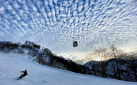 スクリーンショット 2025-11-24 12.33.50