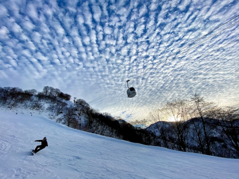 スクリーンショット 2025-11-24 12.33.50