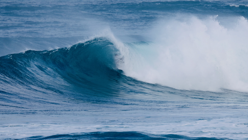 スクリーンショット 2025-11-24 12.59.28