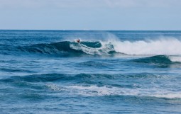 スクリーンショット 2025-11-23 17.58.49