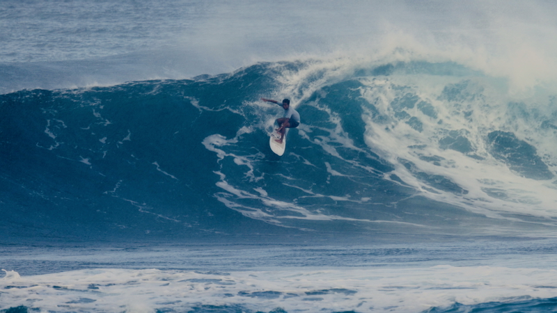 スクリーンショット 2025-11-24 12.38.29