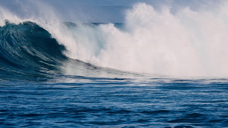 スクリーンショット 2025-11-27 4.14.15